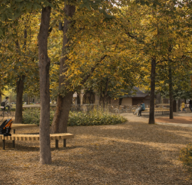 1º PREMIO. CONCURSO PARA LA ADECUACIÓN DEL BOSQUECILLO