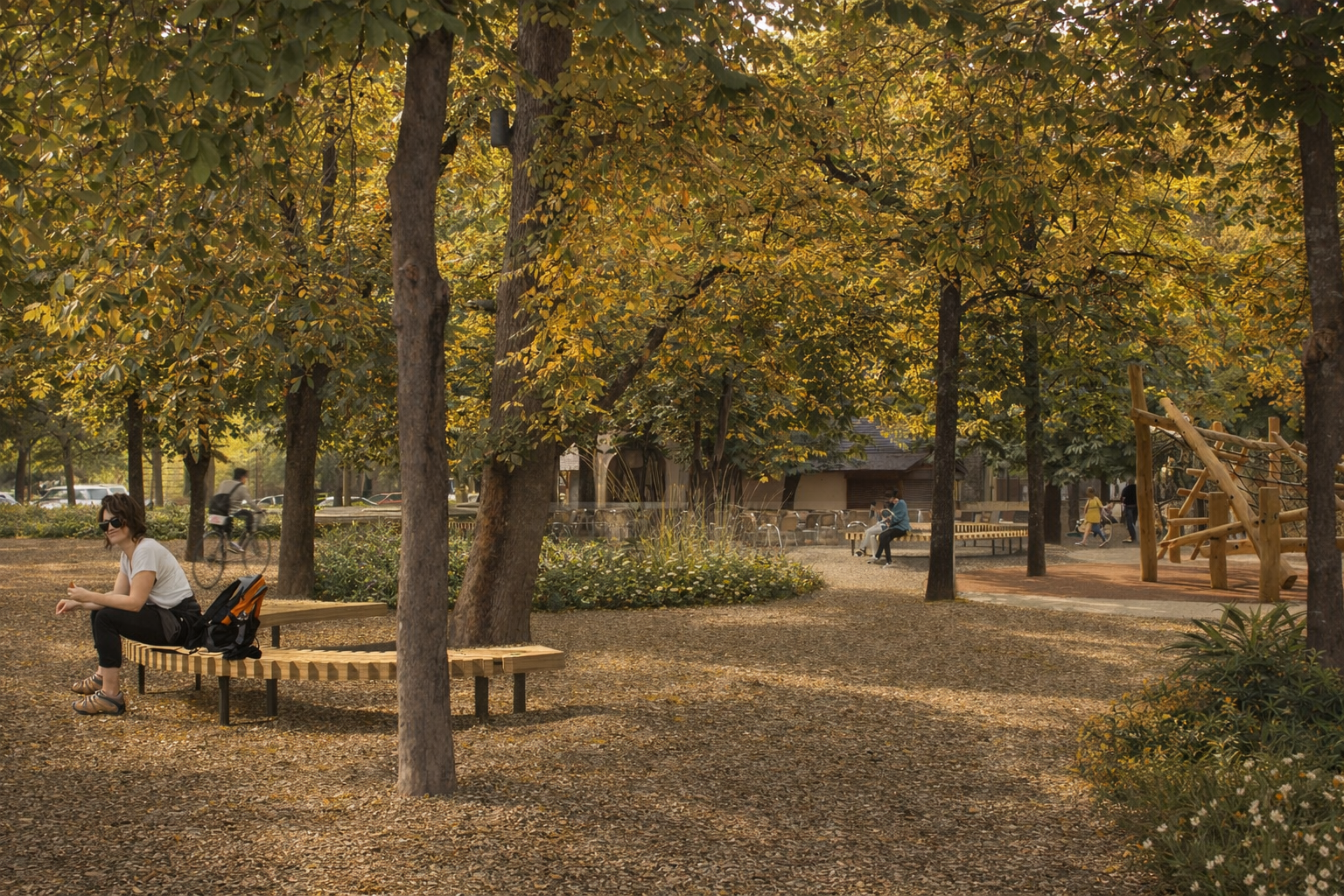 1º PREMIO. CONCURSO PARA LA ADECUACIÓN DEL BOSQUECILLO
